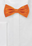 Papion orange--Cravate Online