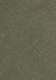 Batista Verde