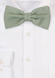 Papion elegant, de in, verde gri