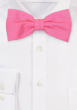 Papion de in roz pinklady