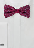 Papion – Bordeaux cu model albastru fin