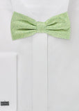 Set: papion barbatesc, batista si bretele de culoare verde deschis