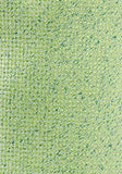 Set: papion barbatesc, batista si bretele de culoare verde deschis