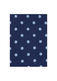 Cravată mătase, in albastru închis cu Puncte, pentru Barbati - Cravatepedia