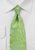 Cravata verde paisley