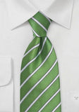 Cravata matase verde in dungi argintii