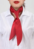 Cravata service dama limoges rosu--Cravate Online