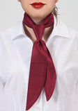 Cravata service dama limoges rosu inchis--Cravate Online