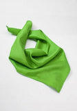 Eșarfă de mătase verde--Cravate Online