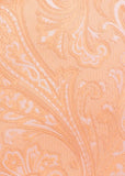 Seturi de Papion barbatesc cu batista, motiv paisley de culoare somon