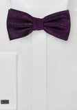Papion pentru bărbați elegant paisley violet
