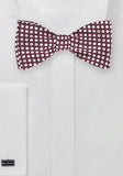 Papion bordeaux cu buline polka