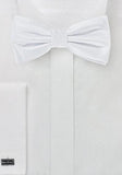 Papion elegant