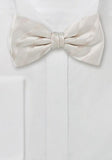 Papion matase dungi fine ivory-crem--Cravate Online