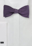 Papion matase purple paisley delicat--Cravate Online