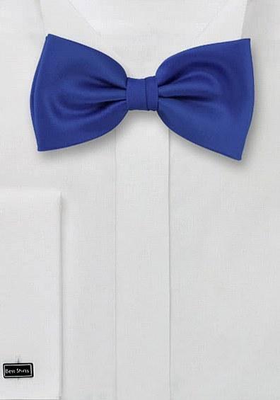 Papion regal albastru--Cravate Online