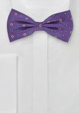Papion Violet delicat